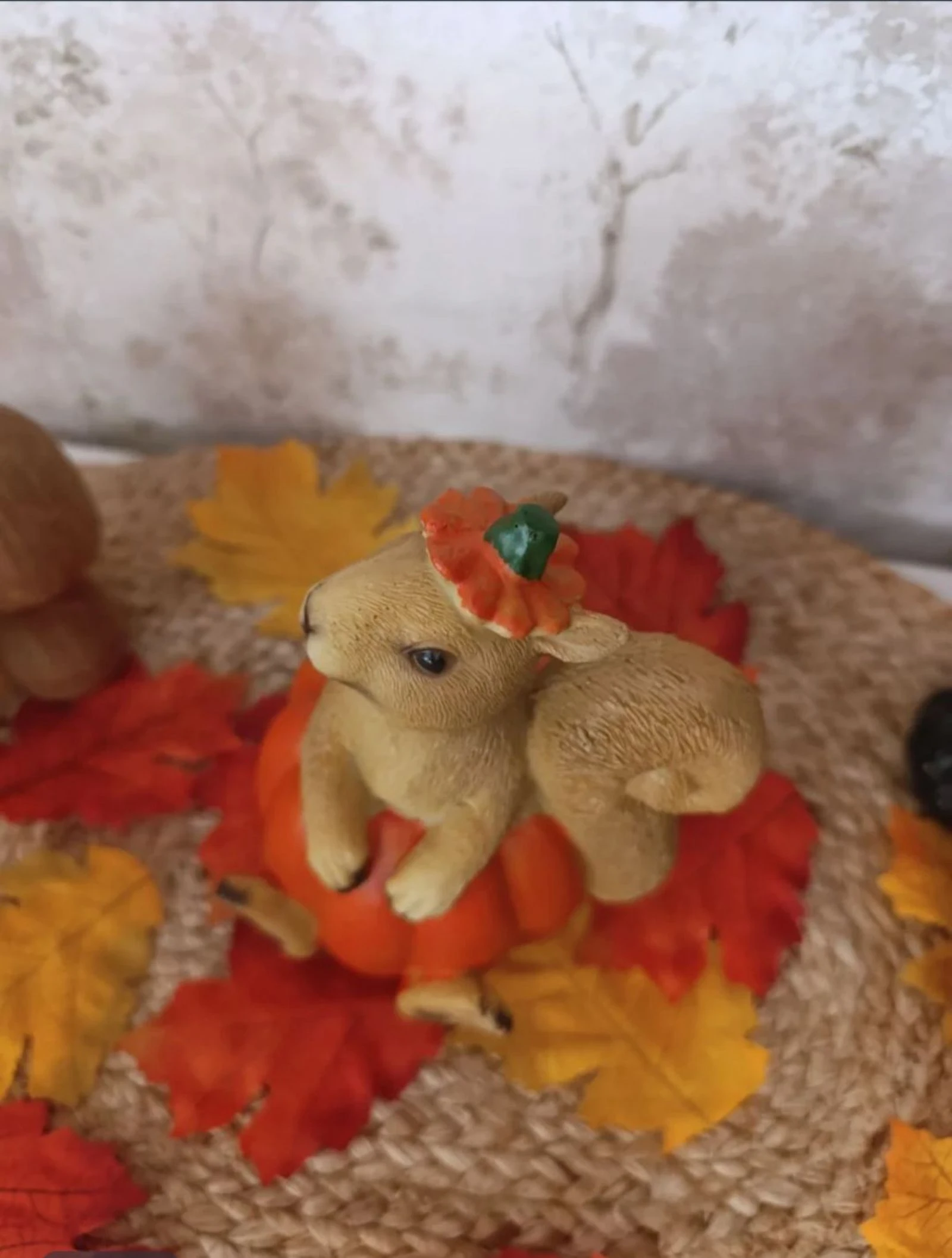 Citrouille avec ecureuil – photo 3